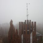 the fog, le brouillard, la niebla, le bruma