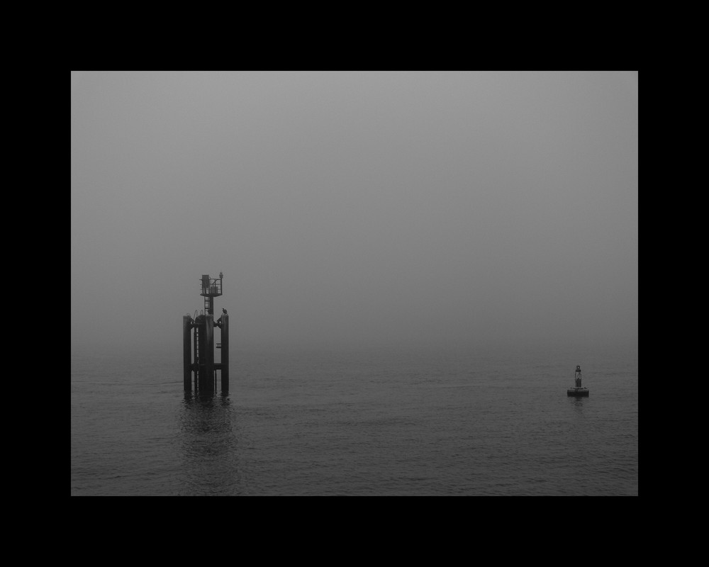 The Fog - Nebel des Grau(en)s