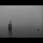 The Fog - Nebel des Grau(en)s