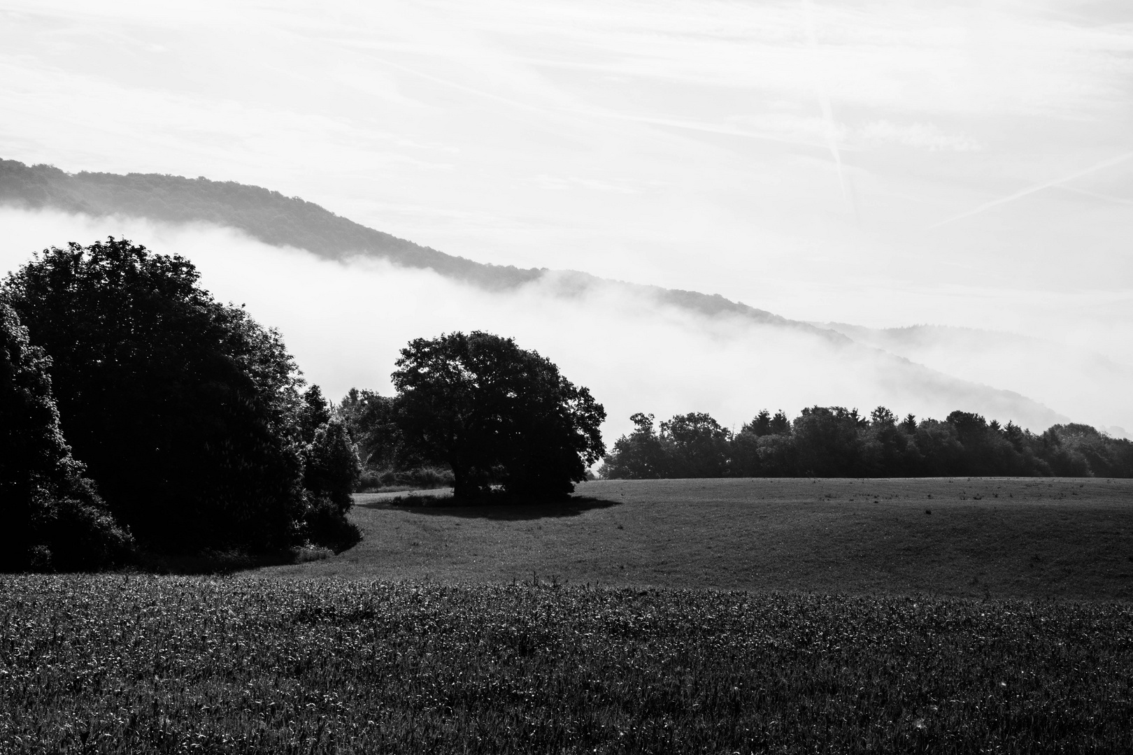 The Fog - Nebel des Grauens