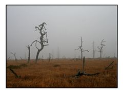 The Fog- Nebel des Grauens