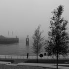 The Fog - Nebel des Grau(en)s V - Graue Maus