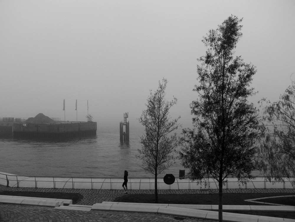 The Fog - Nebel des Grau(en)s V - Graue Maus