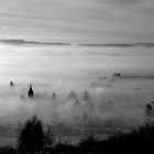 The Fog*Aasen