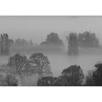 The Foggy Dew 2