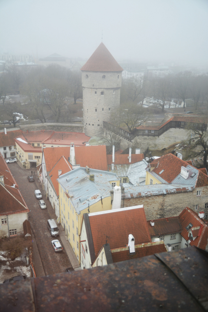 The foggy sight on Tallin