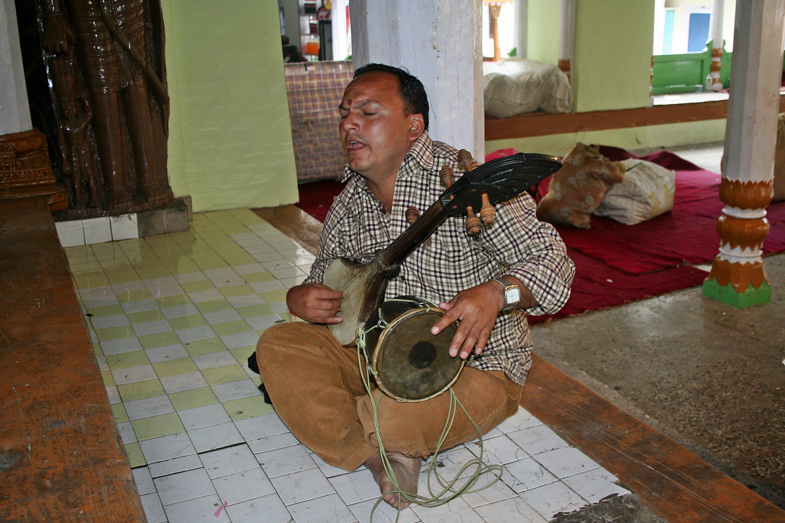 The Folk Singer