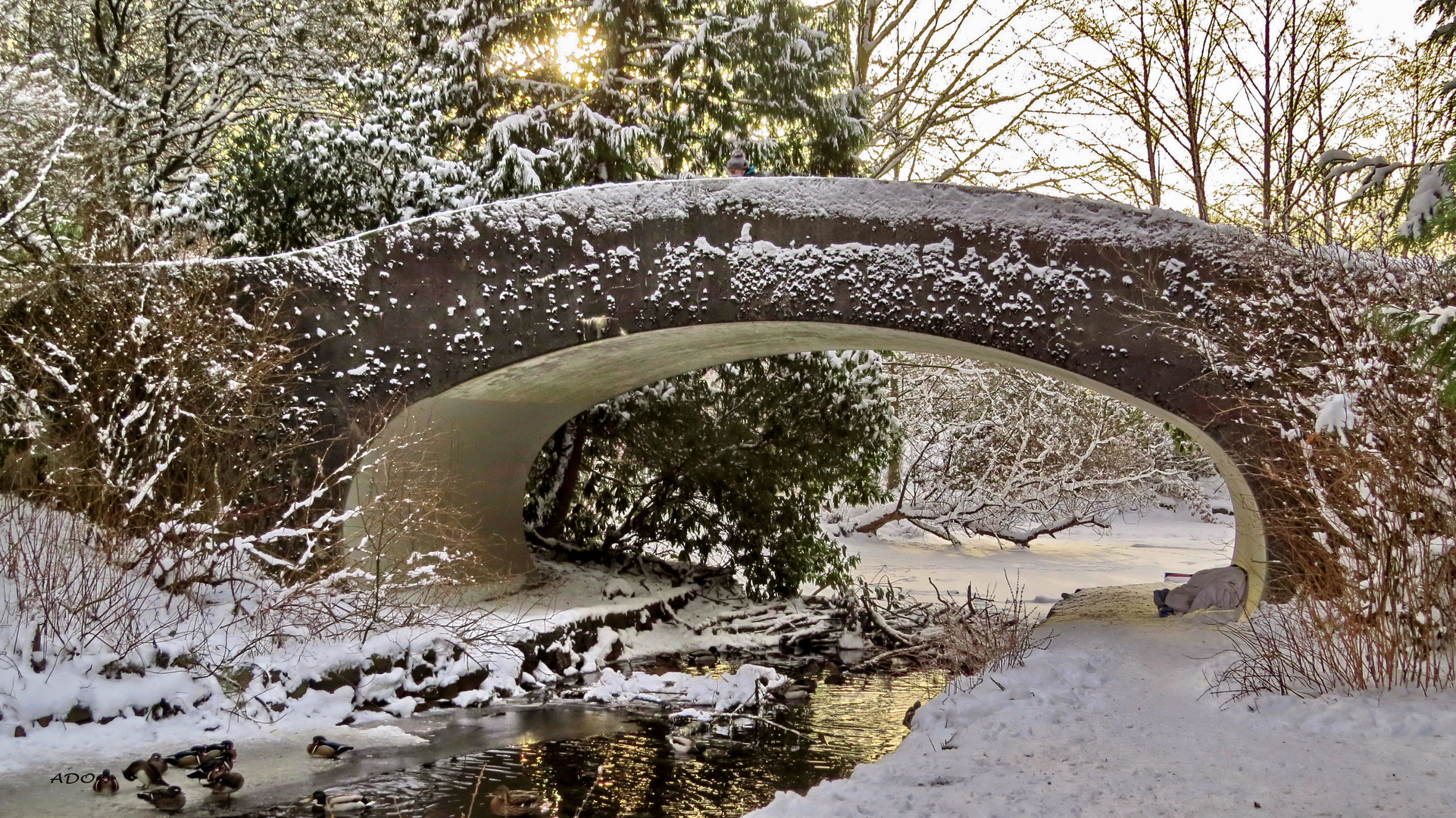 The Footbridge