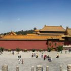 The Forbidden City