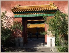 the forbidden city V