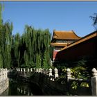 the forbidden city VII