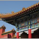 the forbidden city VIII