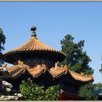 the forbidden city XV