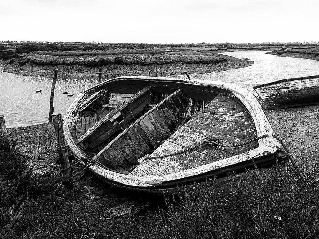 The forgotten boat