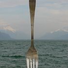 The Fork