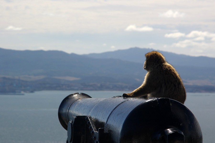 The Fortress of Gibraltar