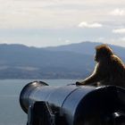 The Fortress of Gibraltar