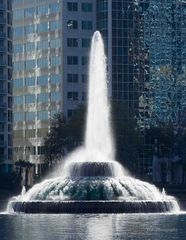 The Fountain at Lake Eola