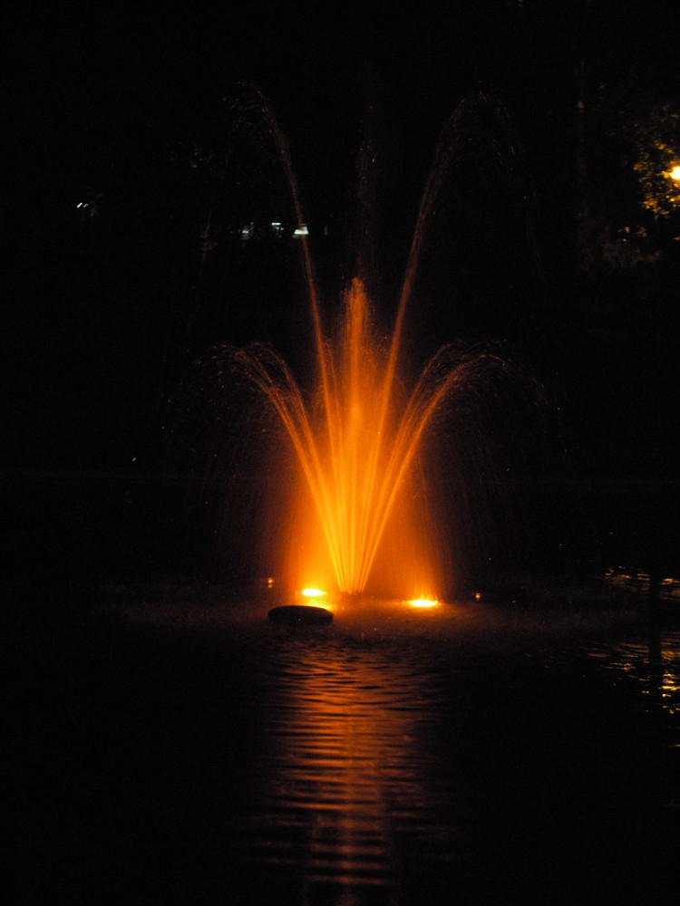 the fountain