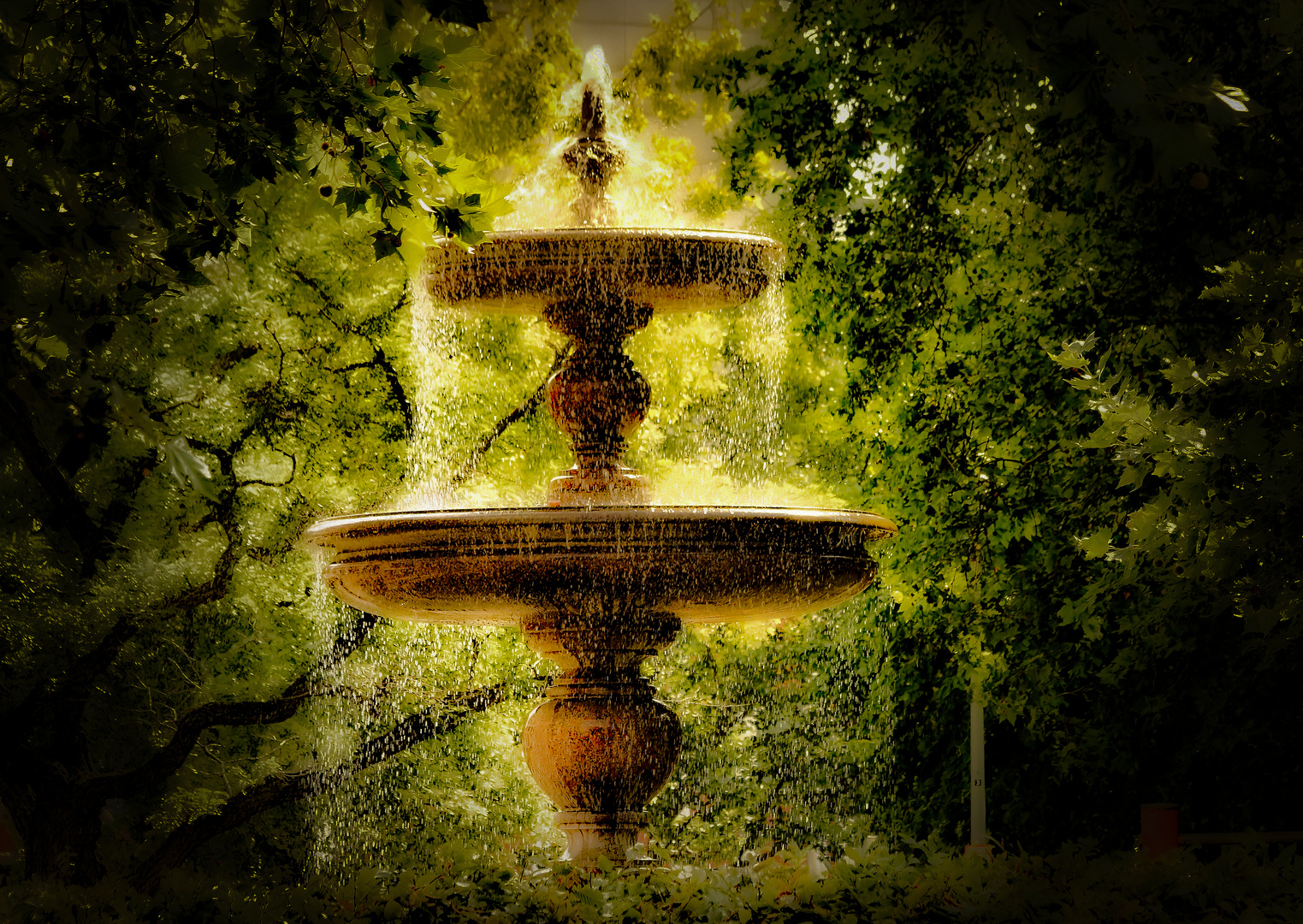 The fountain