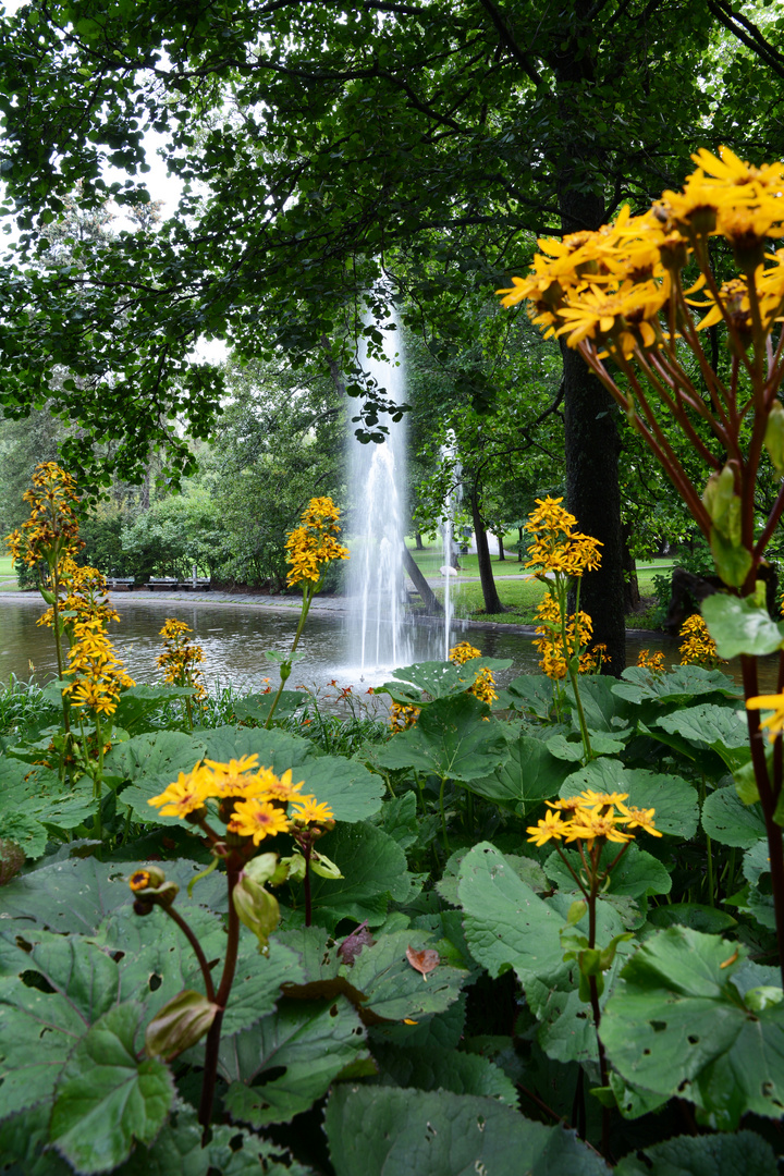 The fountain on park