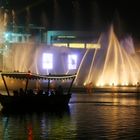 The Fountain Show/ DubaiMall