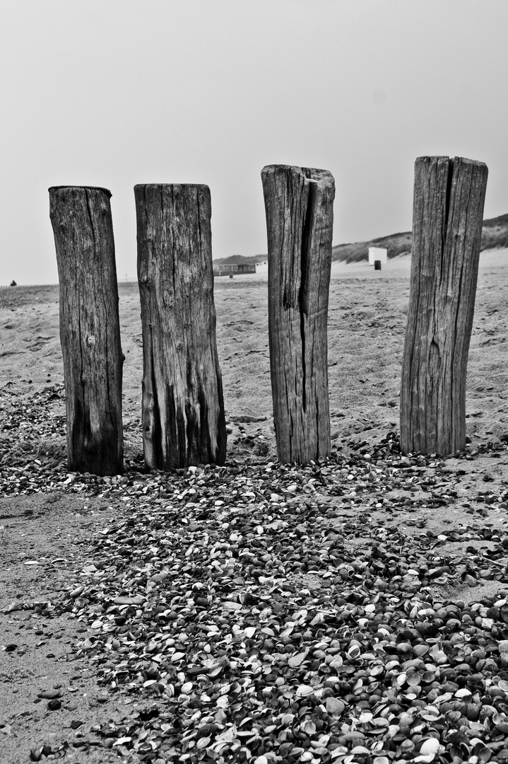 the four mates on the beach