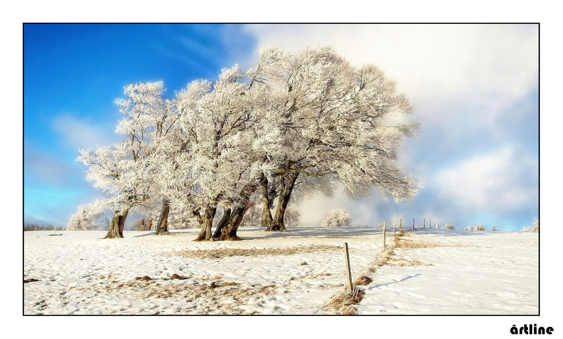 the four seasons - winterday