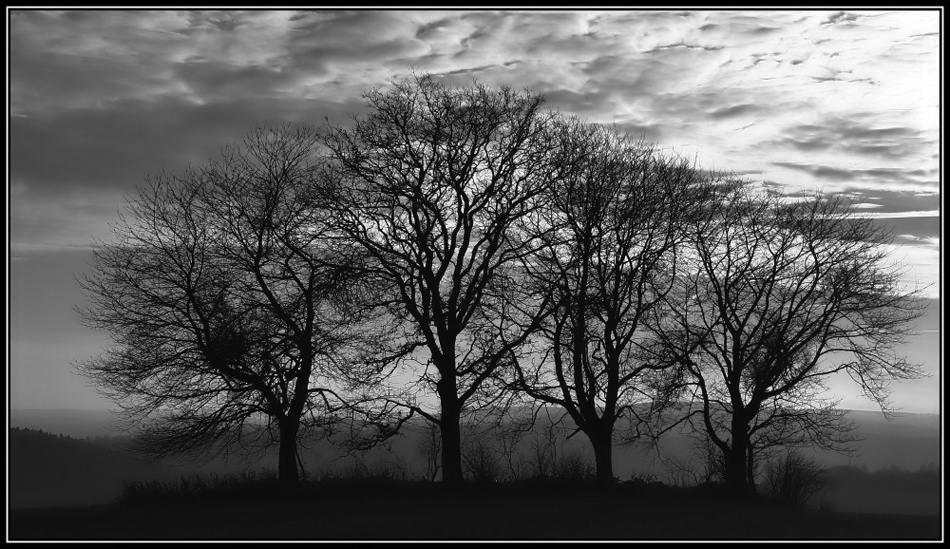"The four trees" by Benjamin Hummel