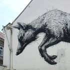 The Fox