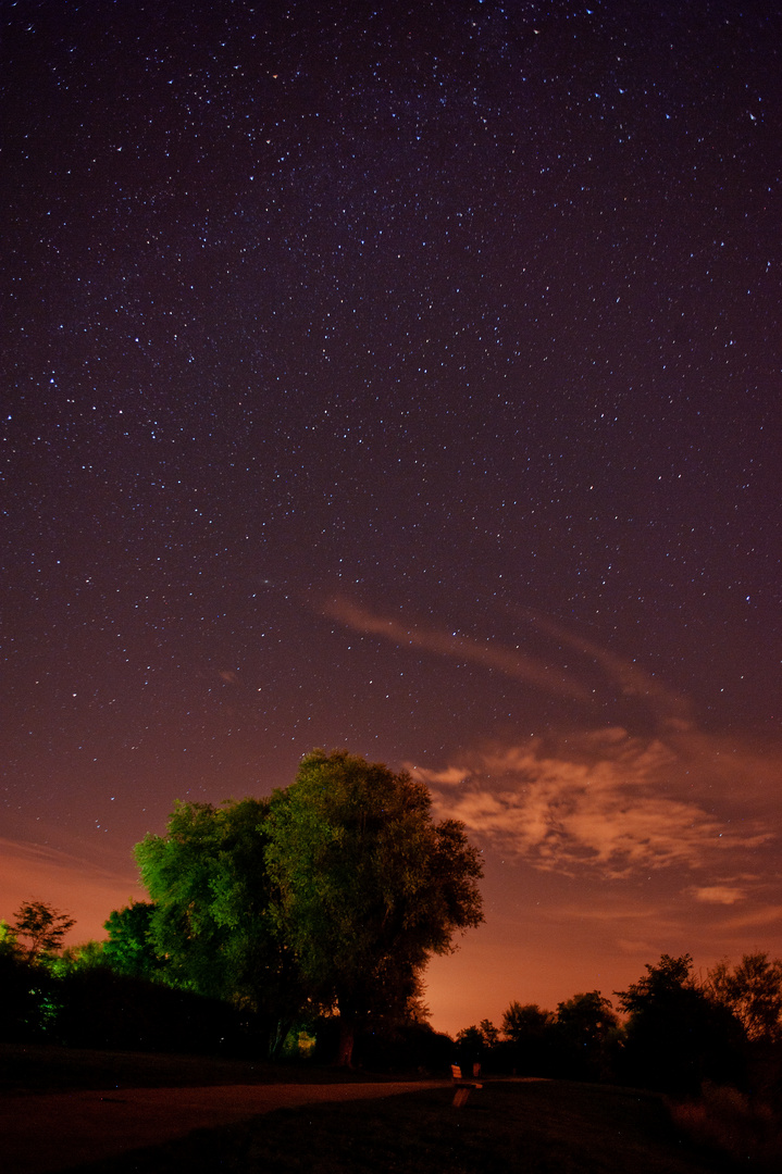 The French Night