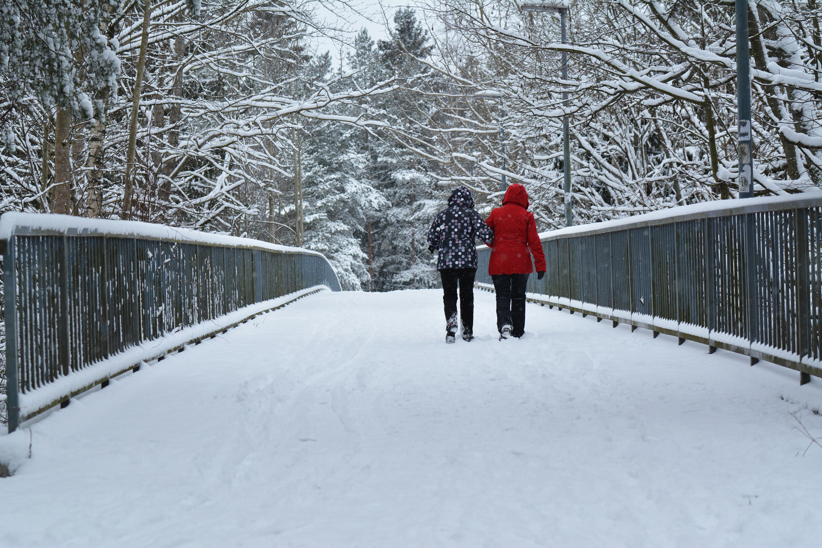 The friends on walking