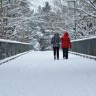 The friends on walking