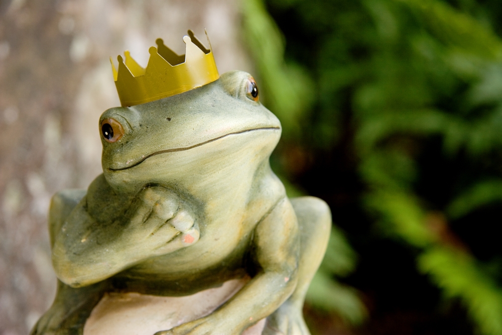 The Frog Prince