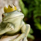 The Frog Prince