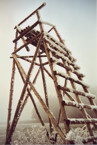 the frozen jägerstand