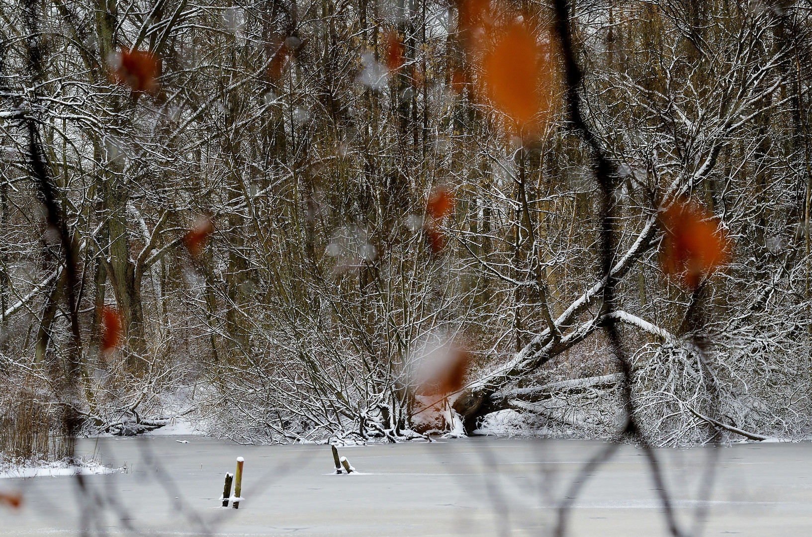 the frozen lake,