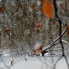 the frozen lake,