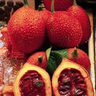 The fruit called fak khao