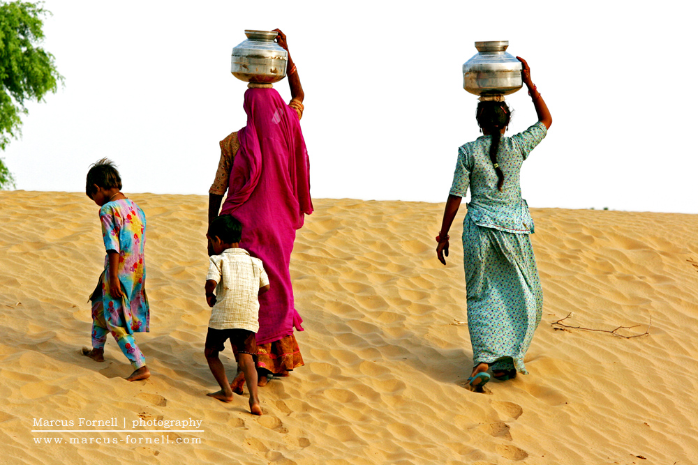 The fruits of labour | Rajasthan, India