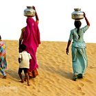 The fruits of labour | Rajasthan, India
