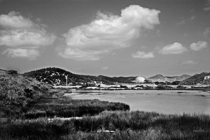 the gallant shoreline blows dimly its leaving - eivissa