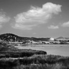 the gallant shoreline blows dimly its leaving - eivissa