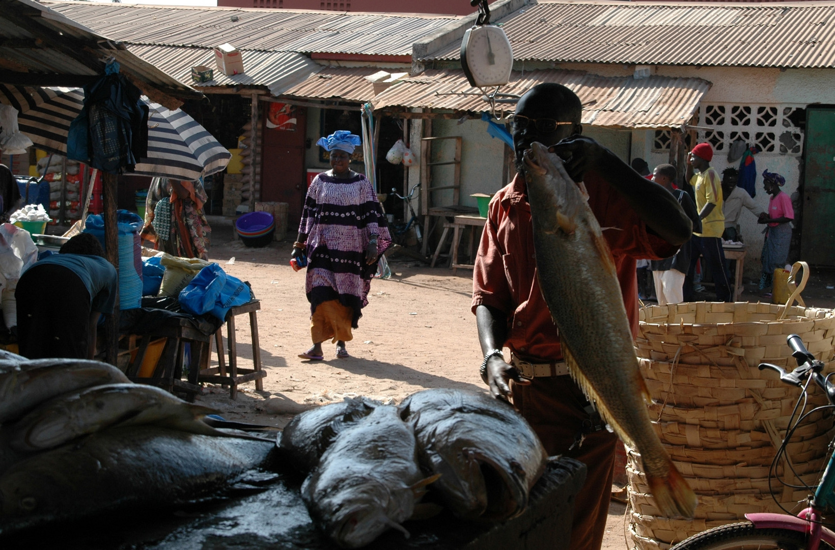 The Gambia: Fischmarkt