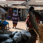 The Gambia: Fischmarkt