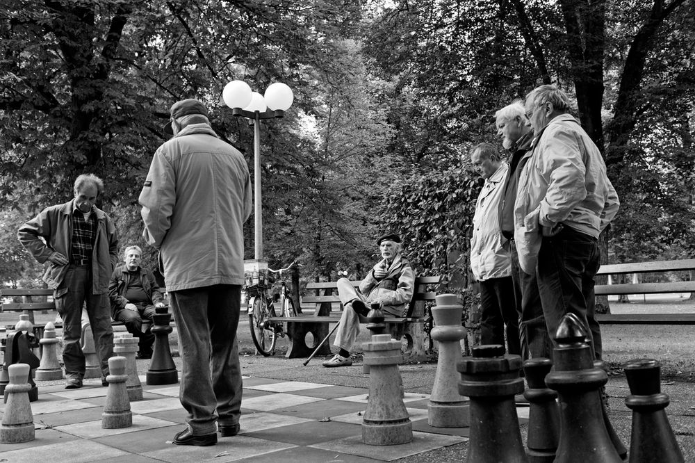 the gamblers and their spectators