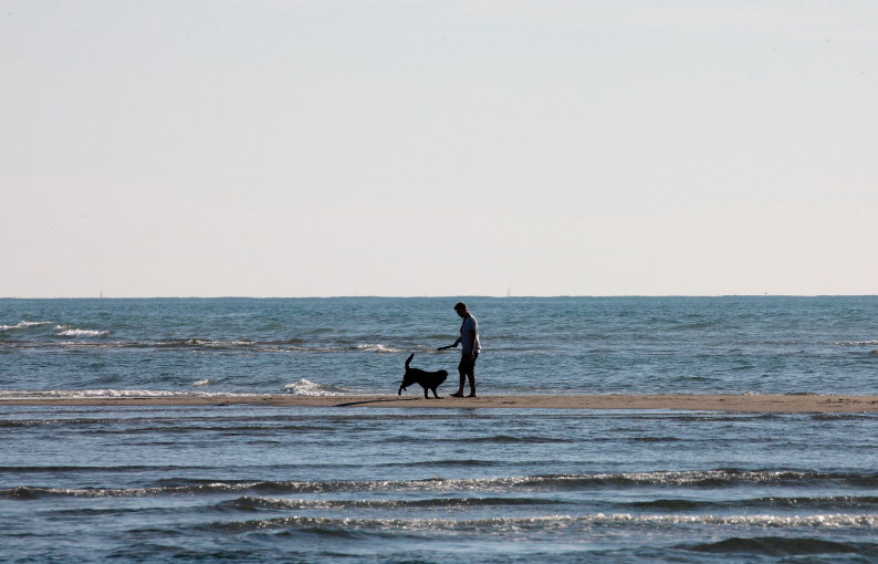 the game on the sea