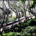 The Garden of Khao Wang,Petchaburi (Thailand)