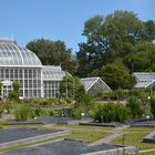 The garden of  University of Helsinki