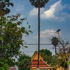 The garden to the Golden Temple